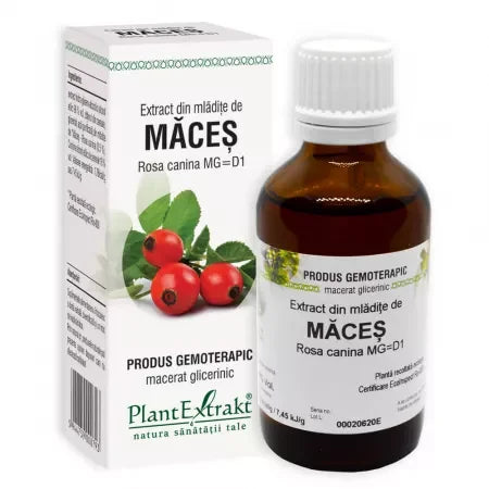 Extract din Mladite de Maces 50 ml