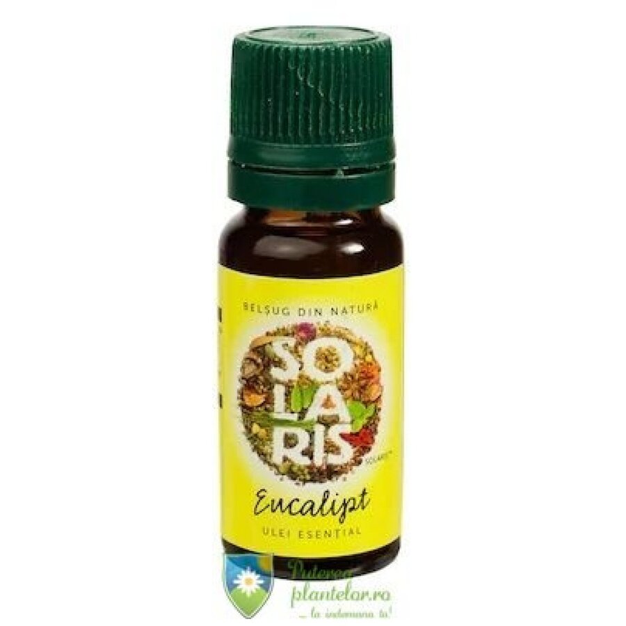 Eucalipt Ulei Esential 10 ml