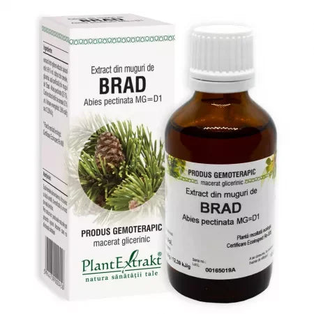 Extract din Muguri de Brad 50 ml