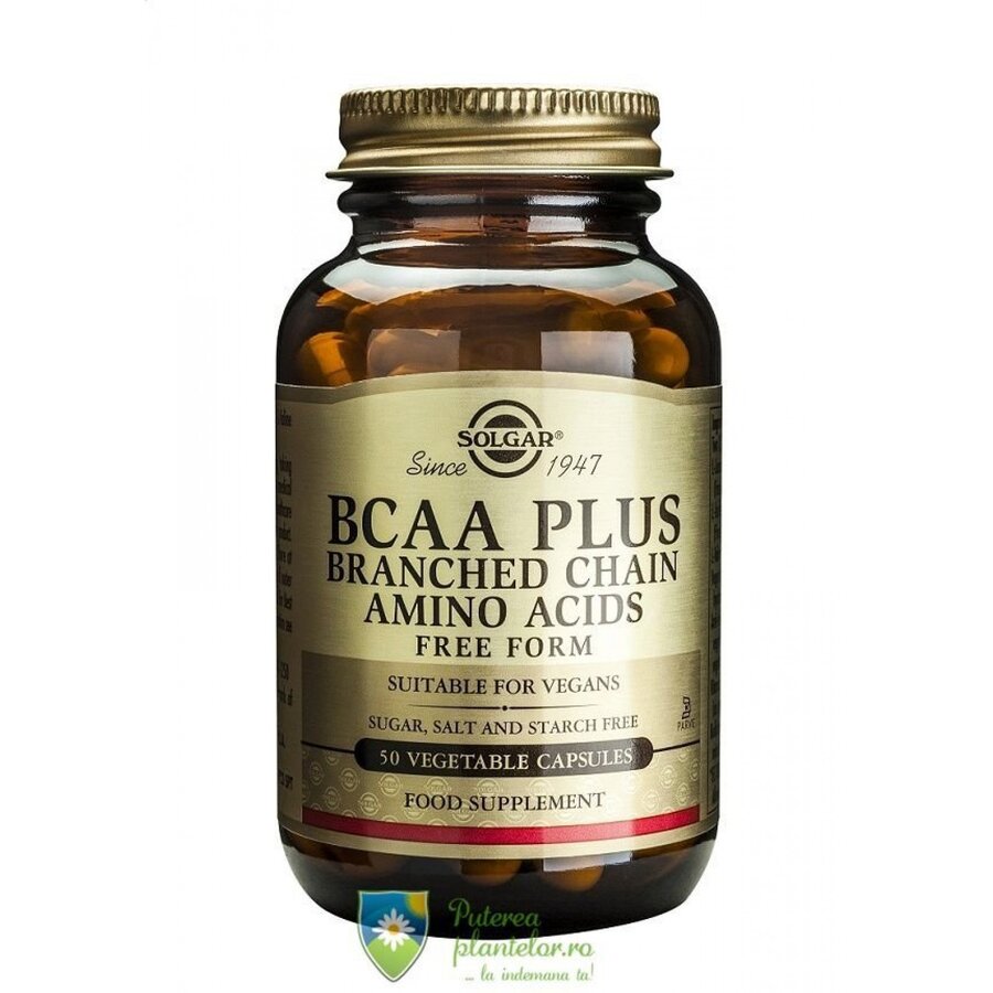 BCAA Plus 50 capsule vegetale