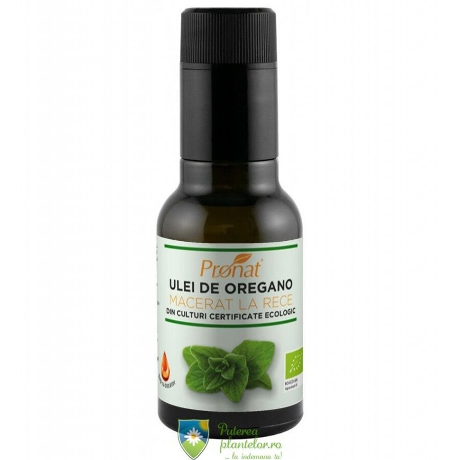 Ulei de oregano macerat la rece Bio 100 ml