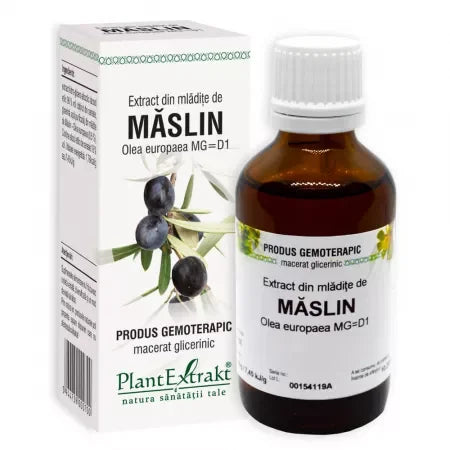 Extract din mladite de Maslin, 50 ml, Plant Extrakt