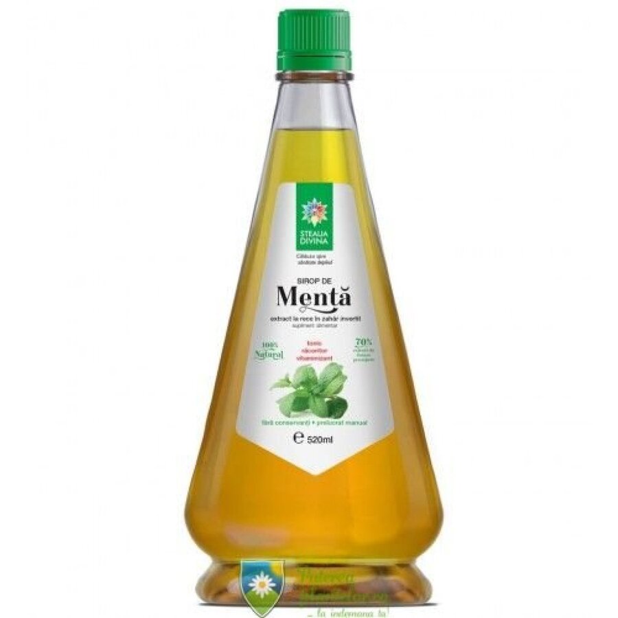 Sirop de Menta 520 ml