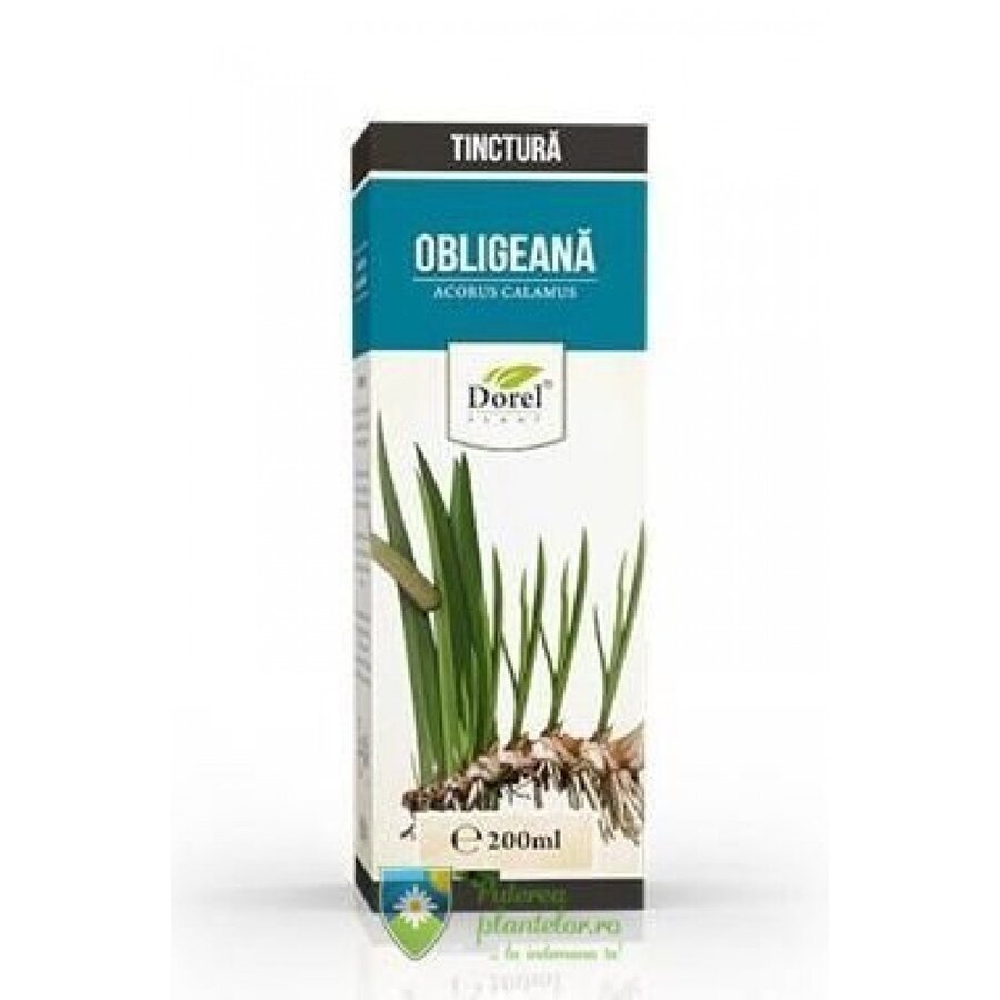 Tinctura Obligeana 200 ml