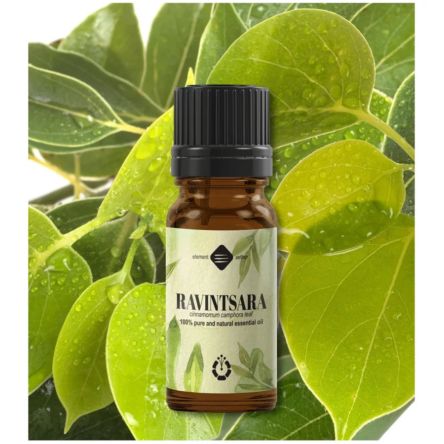 Ulei esenial de Ravintsara-10 ml