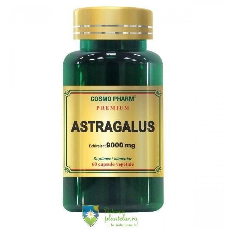 Astragalus Extract 450mg Premium 60 capsule vegetale