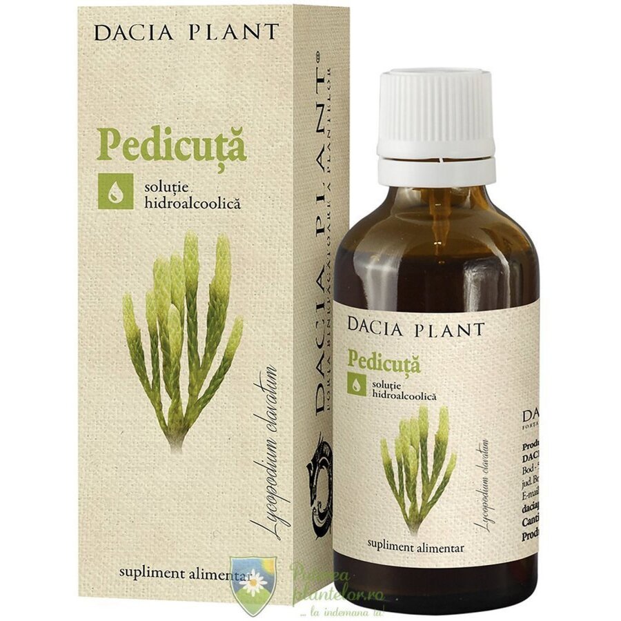 Tinctura de Pedicuta 50 ml