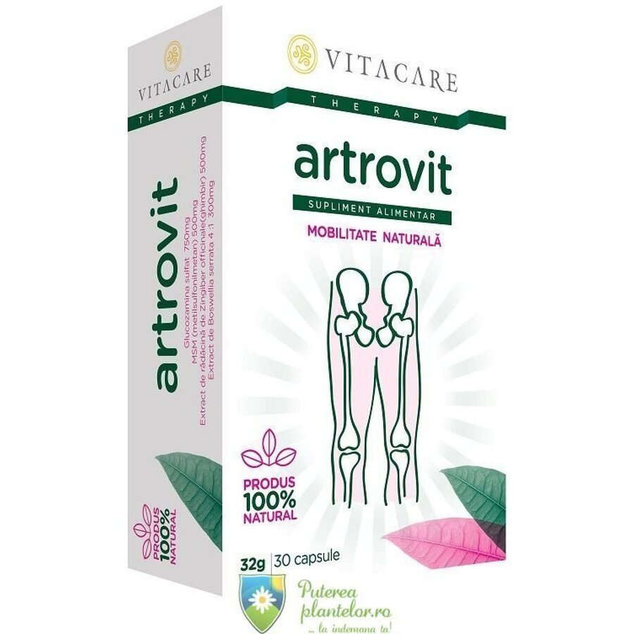 Artrovit 30 capsule