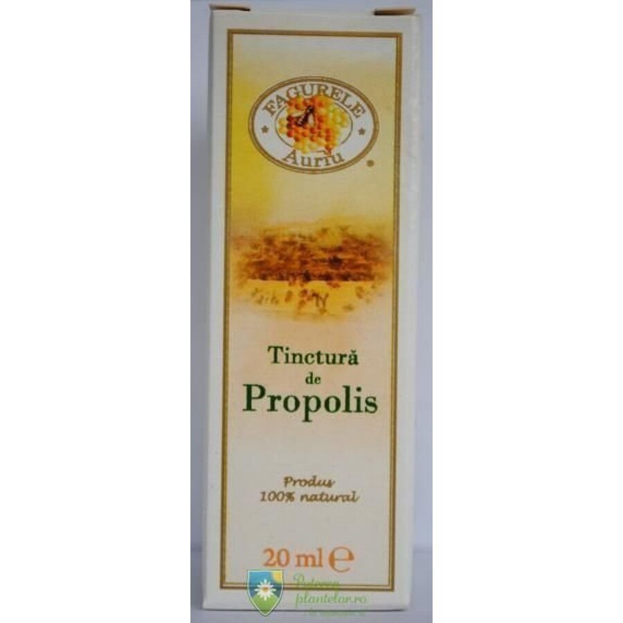 Tinctura de propolis Apidela 20 ml