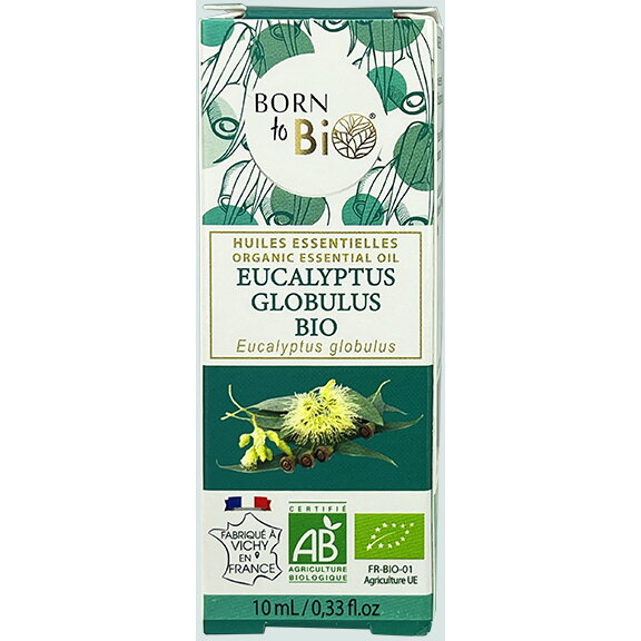 Ulei esential de eucalipt globus/eucalyptus globulus bio 10 ml