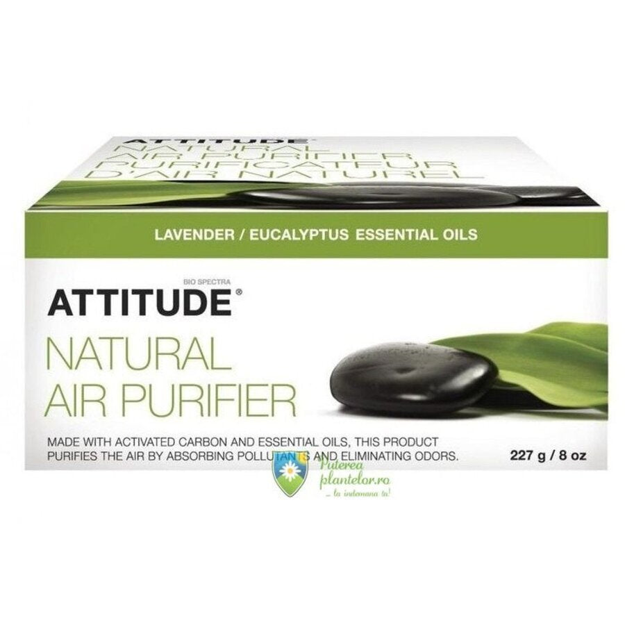 Purificator natural de aer lavanda si eucalipt 227 gr