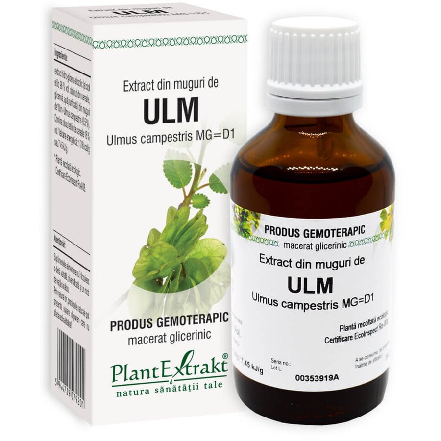 Extract din muguri de ulm 50ml