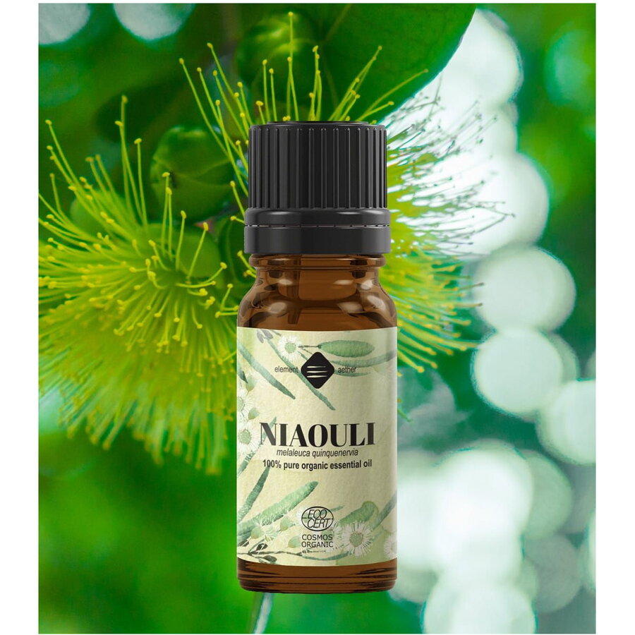 Ulei esential de Niaouli Bio 10 ml