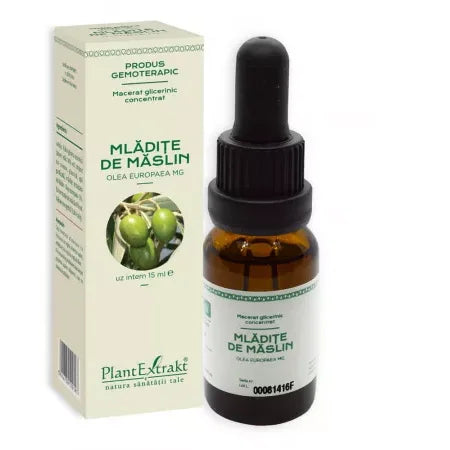 Extract din Mladite de Maslin concentrat 15 ml