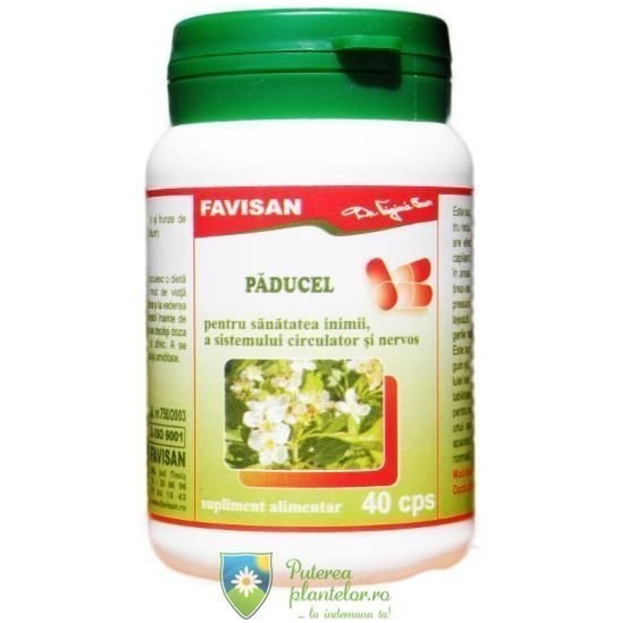 Paducel 40 capsule