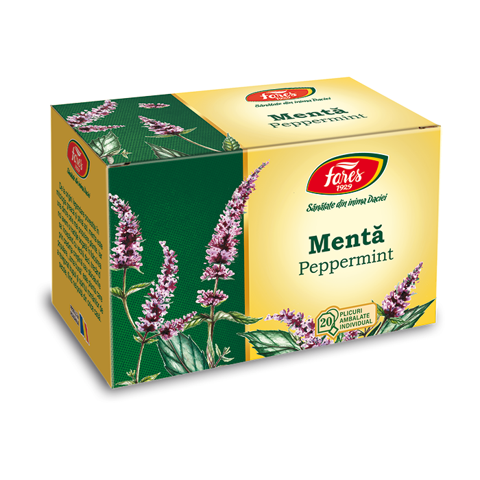 Ceai de menta, Horeca
