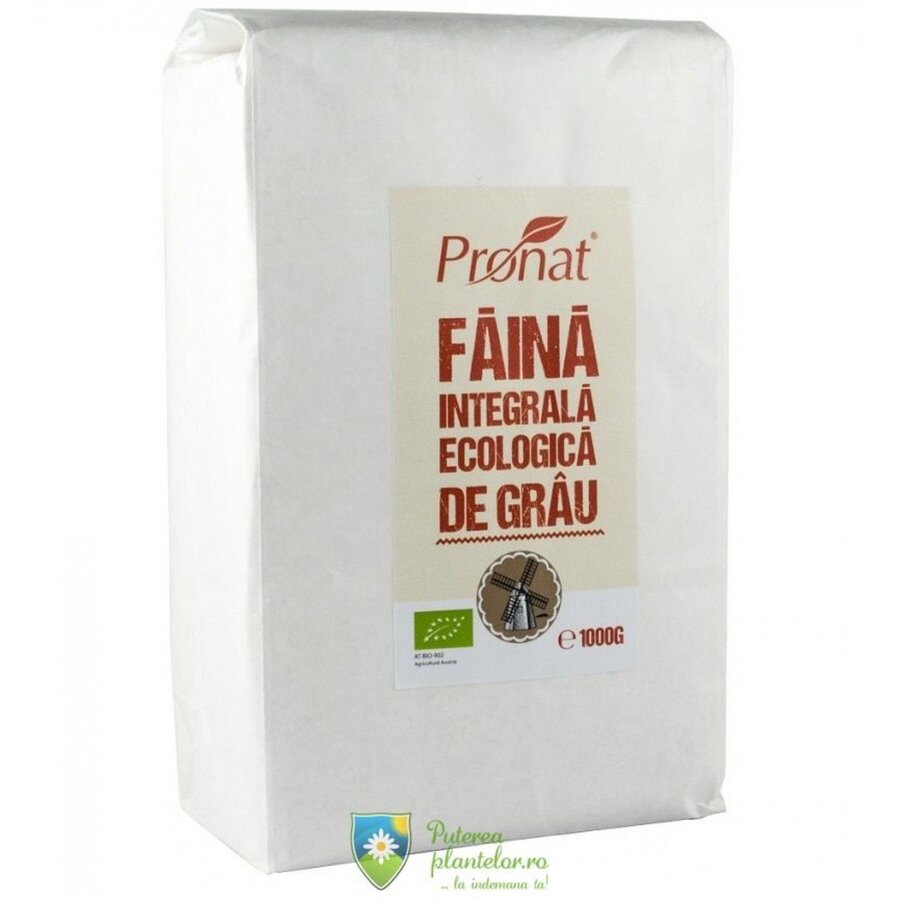 Faina integrala de grau Bio 1 kg