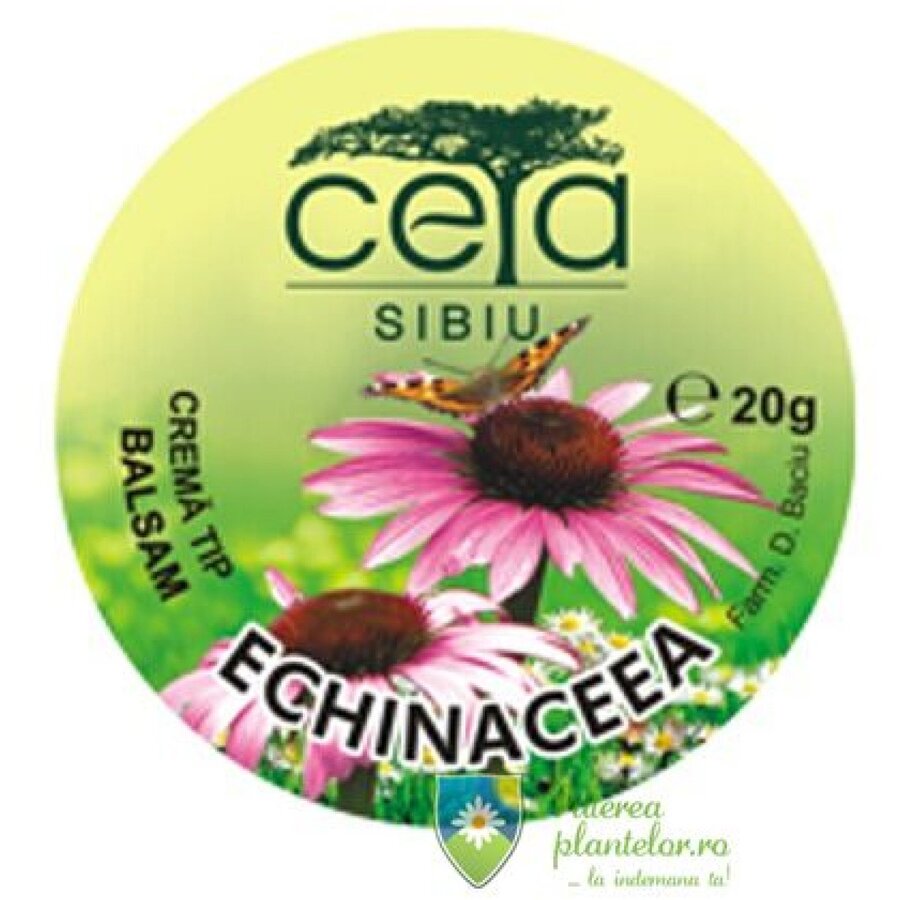 Unguent Echinacea 20 gr