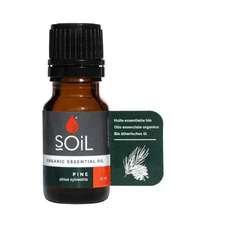 Ulei Esential Pin Pur 100% Organic, 10 ml, SOiL