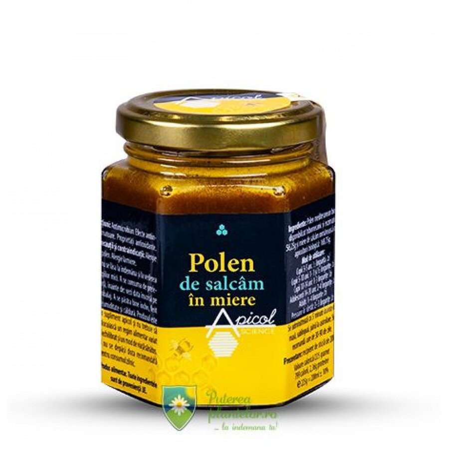 Polen de salcam in miere ApicolScience 230 gr