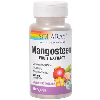 Mangosteen 500mg 60 capsule