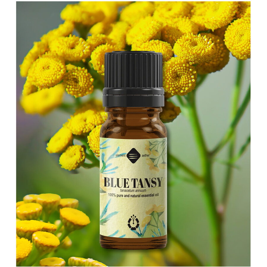 Ulei esential de Blue Tansy 2 ml