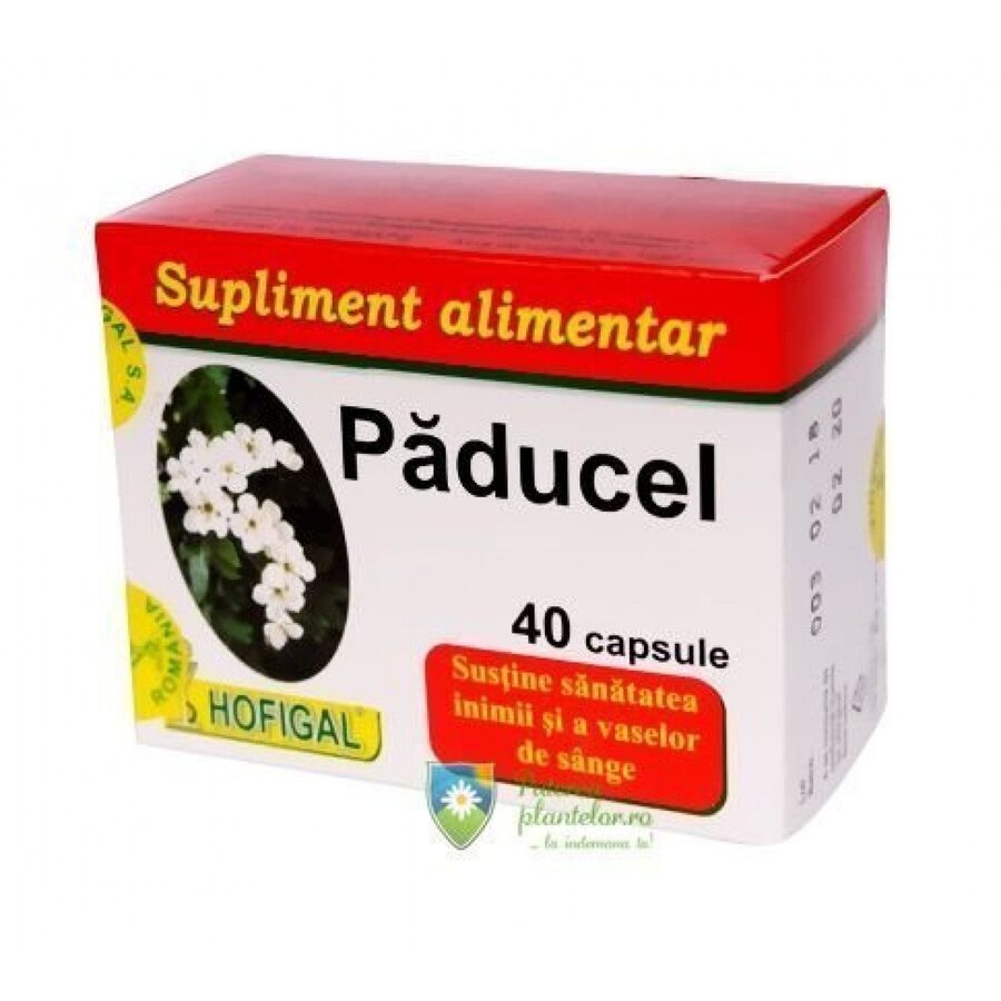 Paducel 40 capsule