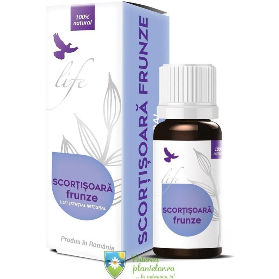 Life Ulei esential de Scortisoara frunze 10 ml