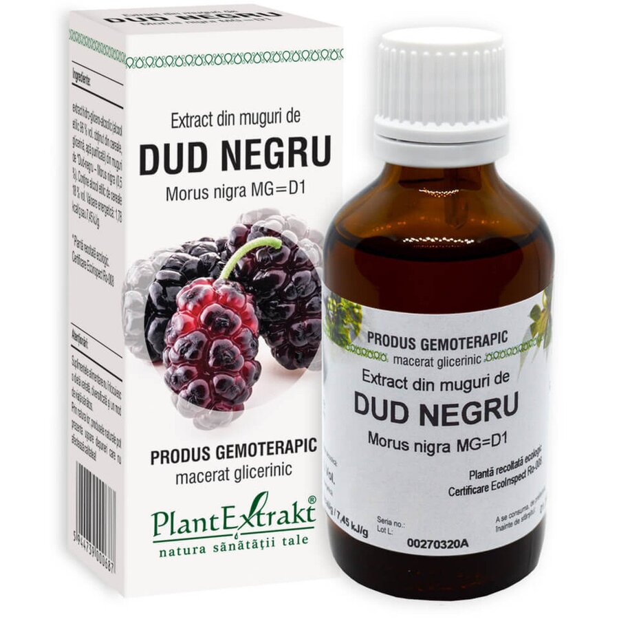 Extract din muguri de Dud Negru, 50 ml, Plant Extrakt