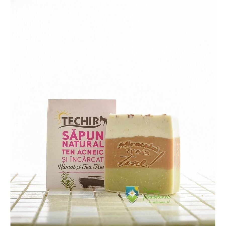 Sapun Ten acneic si incarcat 120 gr