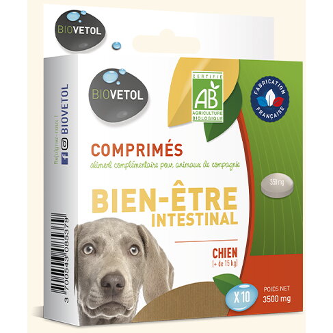 Bien-etre Bio intestinal cei talie mare 10 tablete