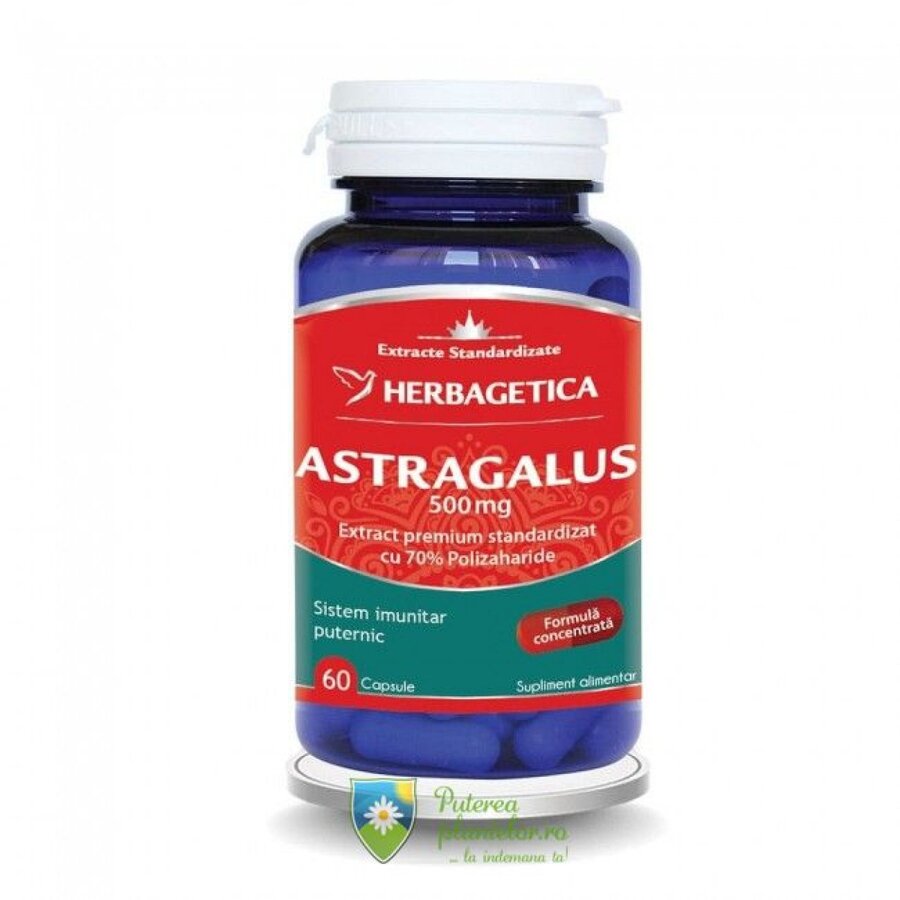 Astragalus 500mg 60 capsule