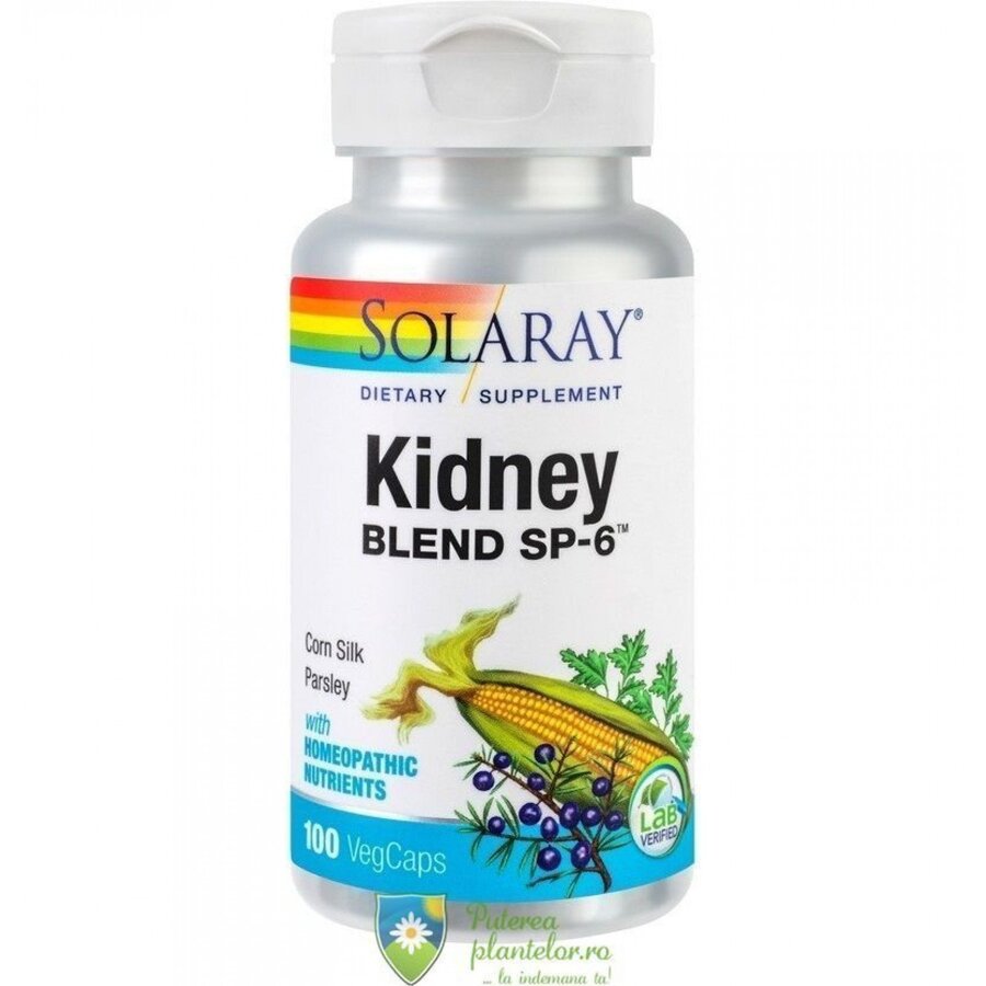 Kidney Blend SP-6 100 capsule