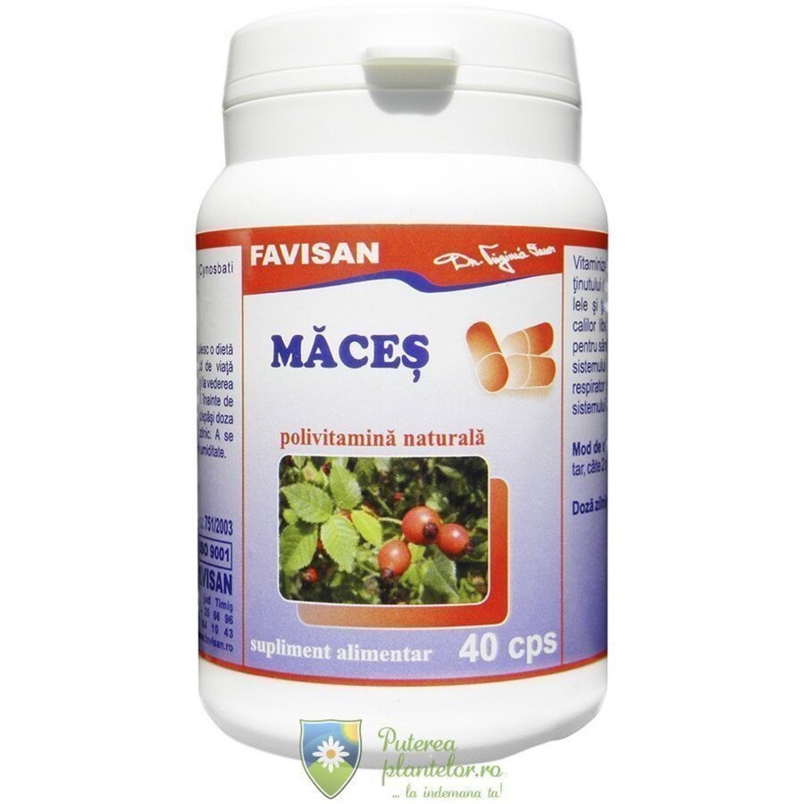 Maces 40 capsule