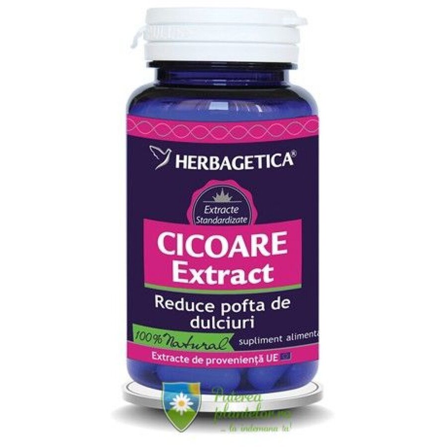 Cicoare Extract 60 capsule