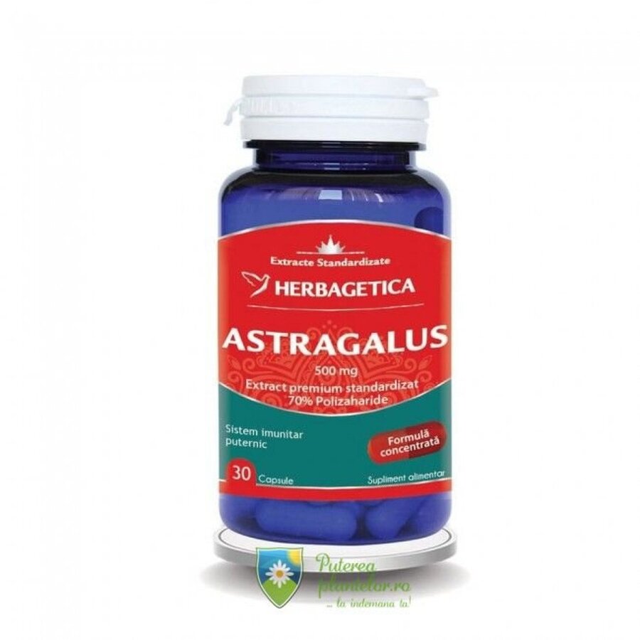 Astragalus 500mg 30 capsule