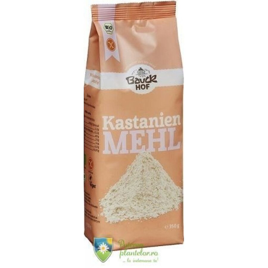 Faina de Castane Bio fara gluten 350 gr