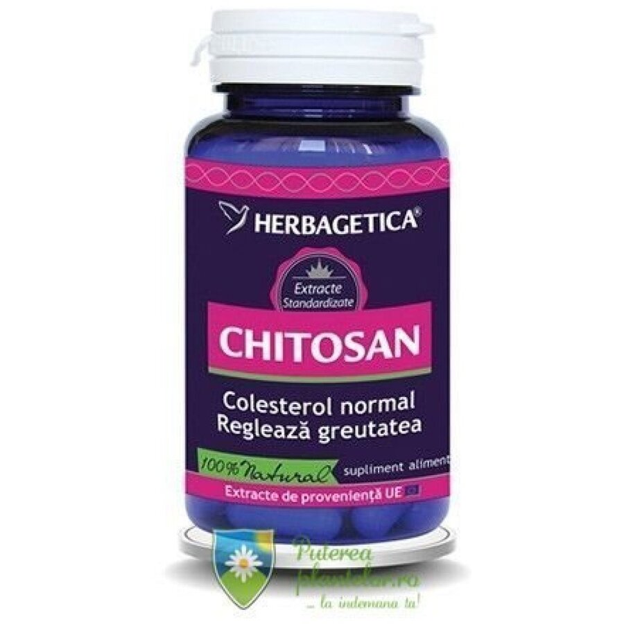 Chitosan 400mg 60 capsule