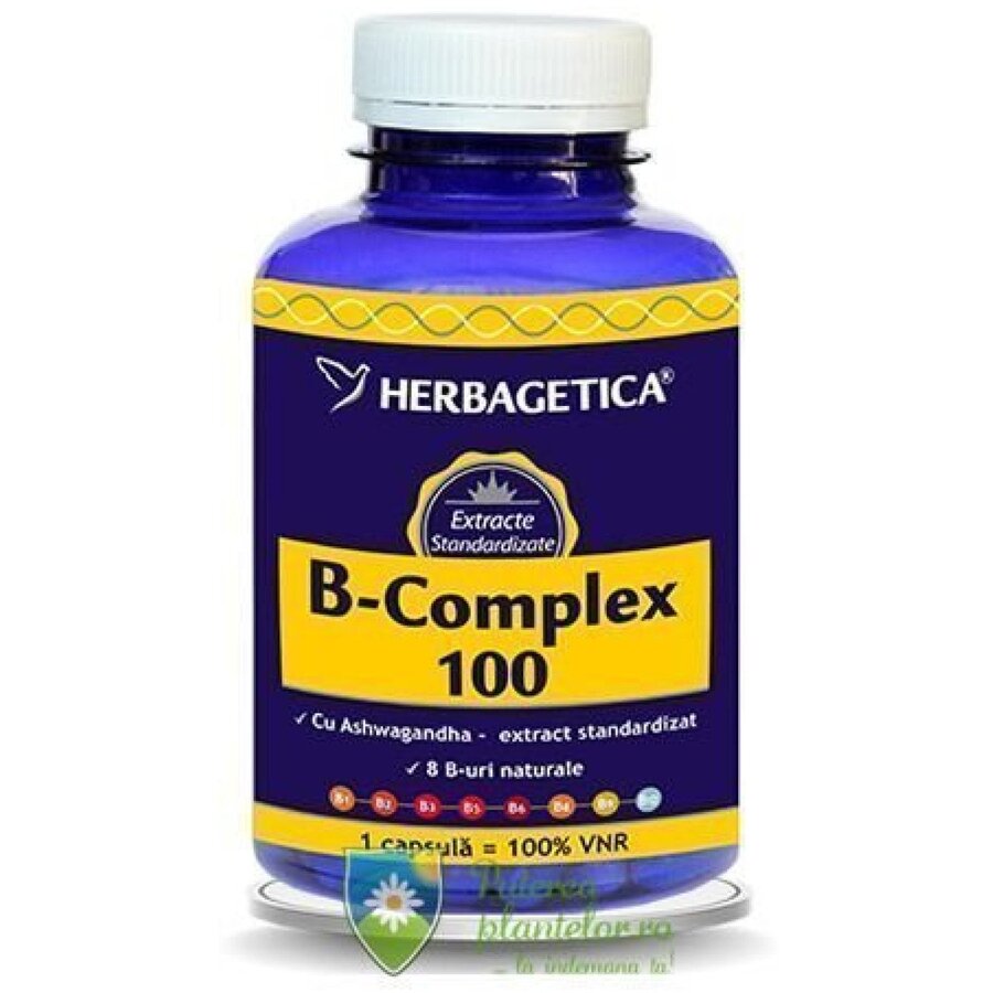 B Complex 100 120 capsule