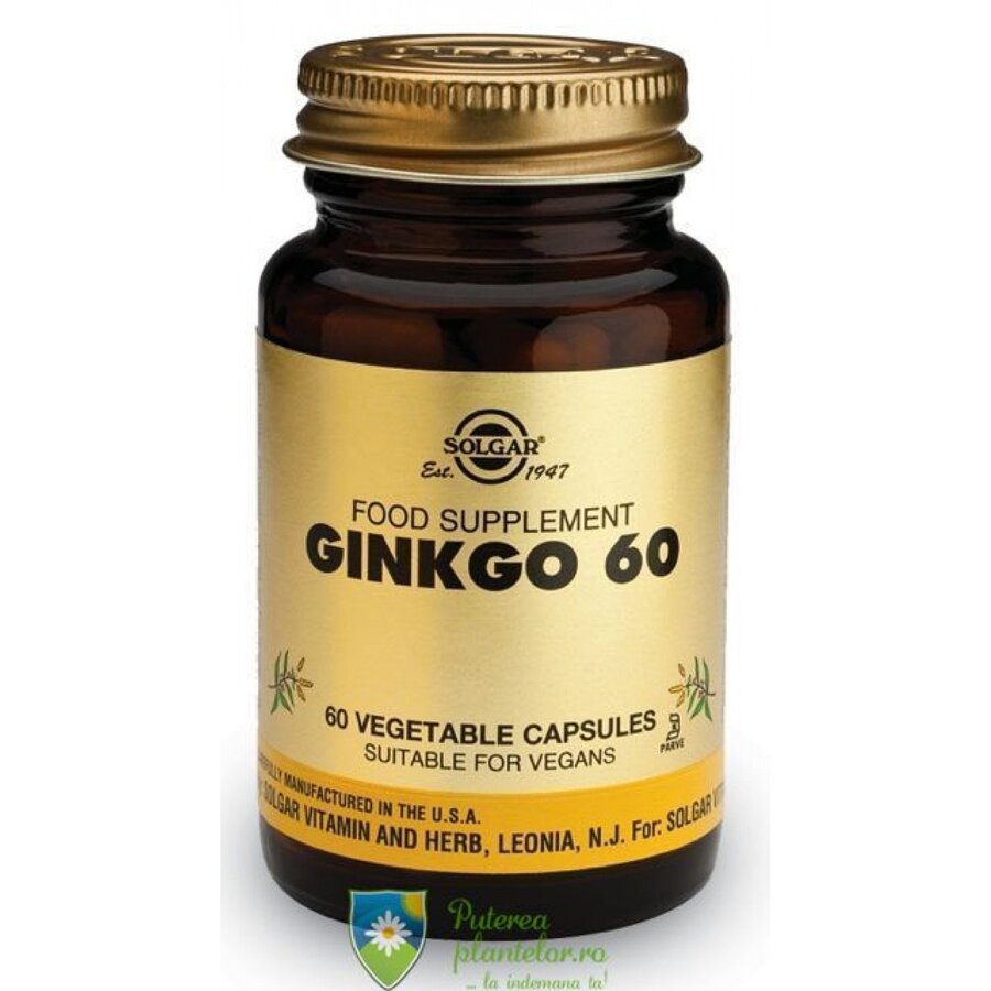 Ginkgo Biloba 60mg 60 capsule Solgar