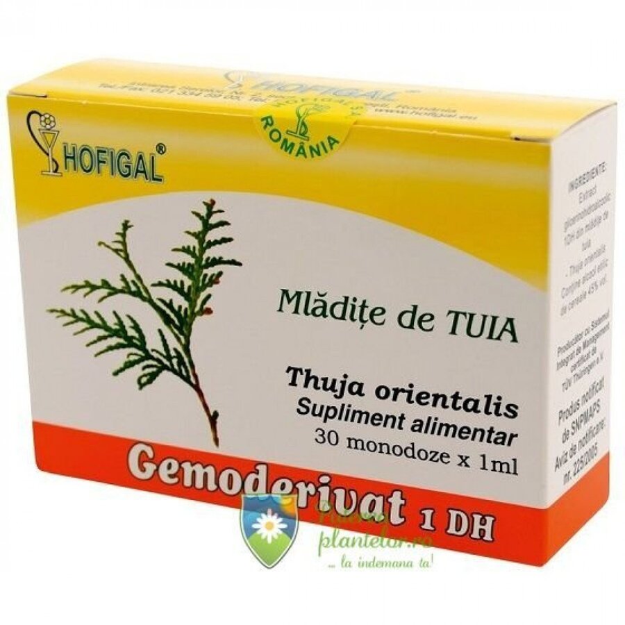 Gemoderivat mladite de Tuia 30 monodoze