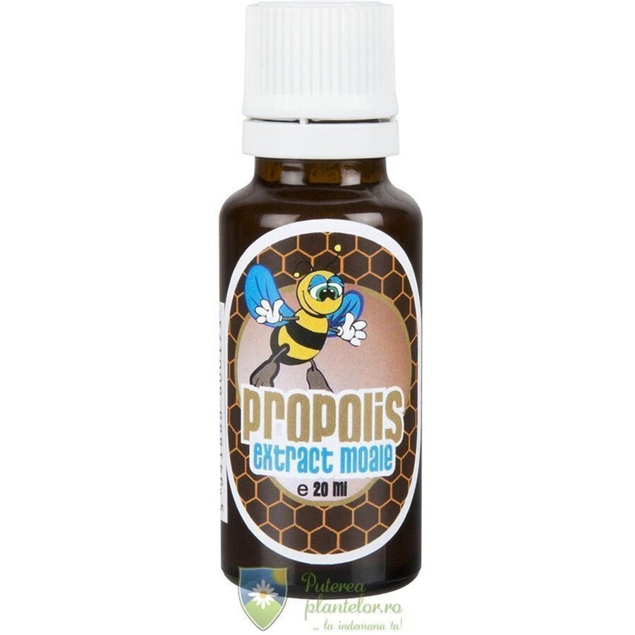 Propolis Extract Moale 70% 20 ml