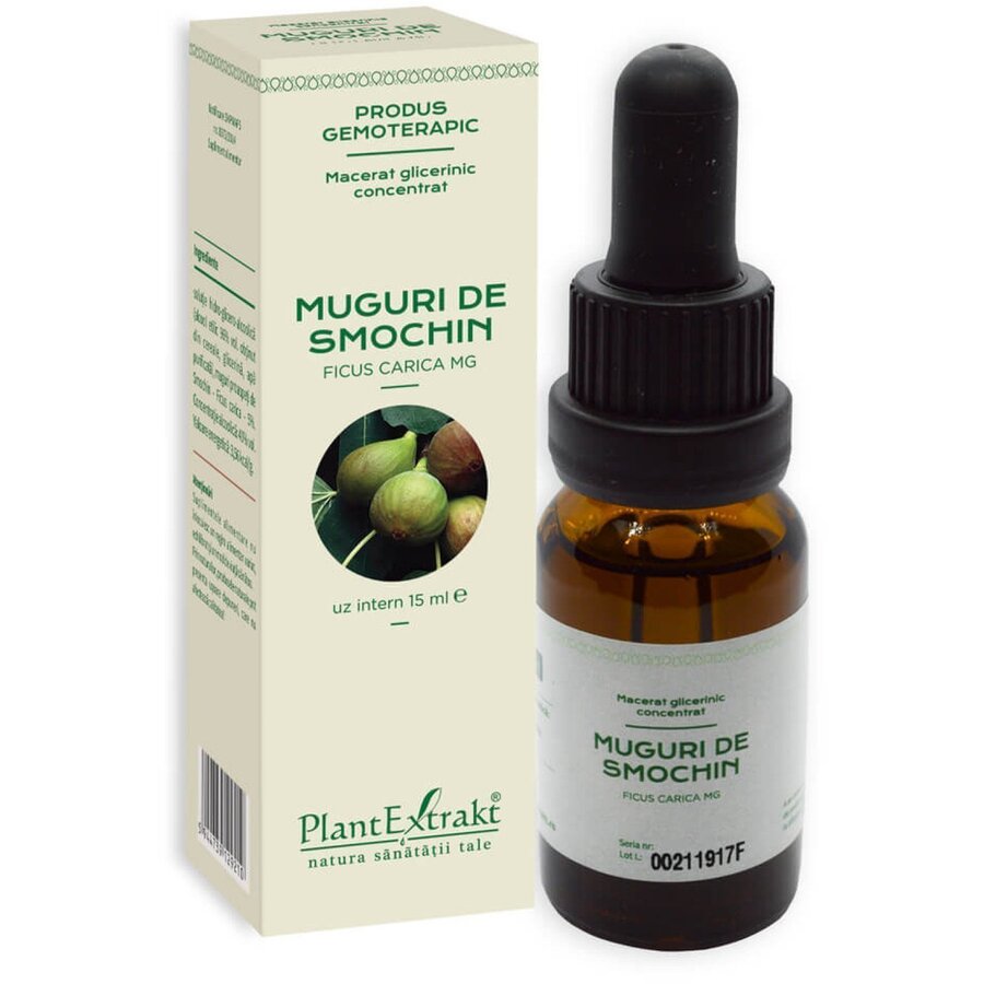 Extract concentrat din muguri de smochin 15ml