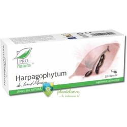 Harpagophytum 30 capsule