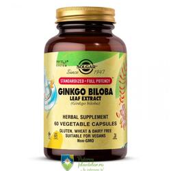 Gingko Biloba Leaf Extract 60 capsule