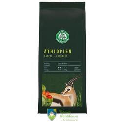 Cafea Bio Macinata Etiopiana 100% Arabica 250 gr
