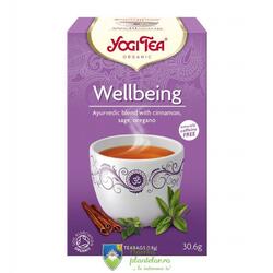 Ceai Bio Mereu Tanar Yogi Tea 30.6 gr (17 plicuri)