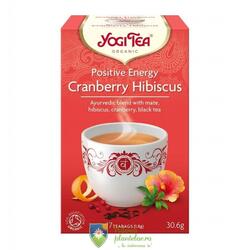 Ceai Bio Energie pozitiva Merisor si hibiscus 30.6 gr (17 plicuri)