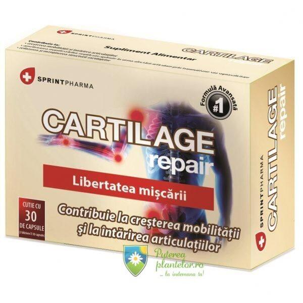 Sprint Pharma Cartilage Repair 30 capsule