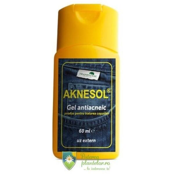 Transvital Aknesol Gel antiacneic 60 ml